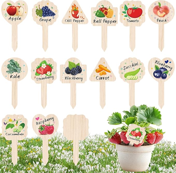 Vegetable Plant Label - 15PACK Garden Markers, Fruit Plant Labels for Outdoor Garden Waterproof, Plant Tags with Names, Indoor Patio Tags for Succulent Flowers Greenery Seedling
