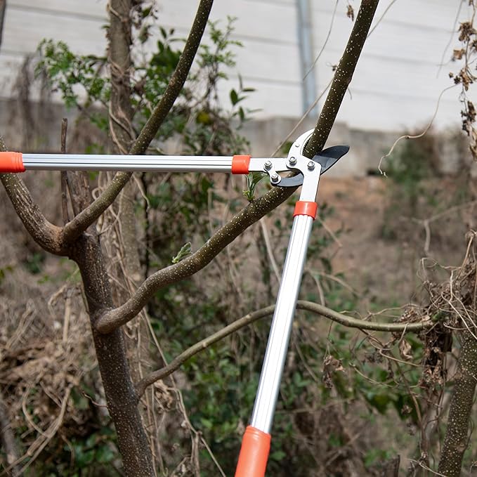 Heavy Duty Garden Lopper Pruning Shears, Aluminum Alloy or Carbon Steel, Tree Branch Cutter with Non-slip Handle, Labor-saving Gardening Tools, Yard, Orchard (Vigorously cut black steel)