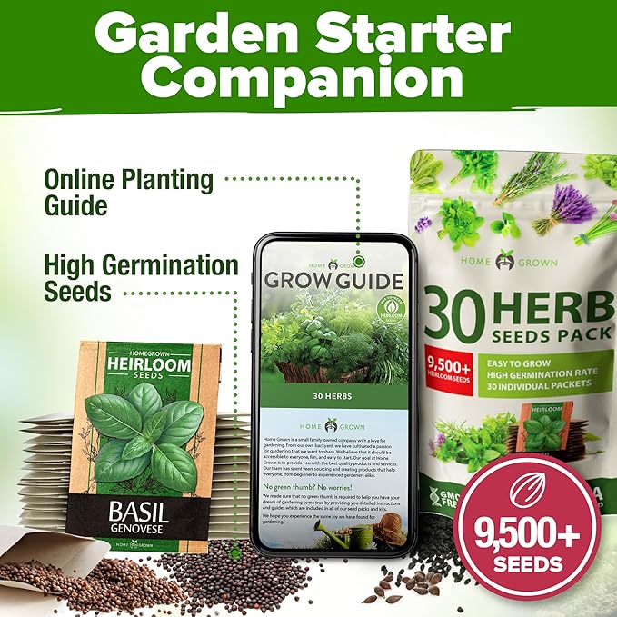 HOME GROWN 30 Herb Seeds for Planting 9,500+ Non-GMO Heirloom Seeds | Extra Large Variety Pack Herb Kit – Indoor Outdoor & Hydroponic | Culinary Seed Set | Grow Your Own Herbs | Gardening Gift