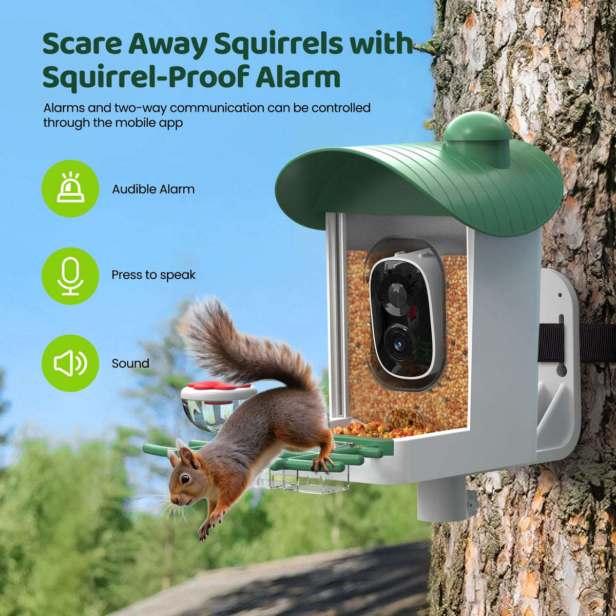 Bird Feeder with Camera Outdoor Solar: Smart Birdfeeder Houses with 2K Live Cam - AI Identify Birds Species and Auto Instant Arrival Alert Outside Garden - Ideal Gift for Bird Lovers