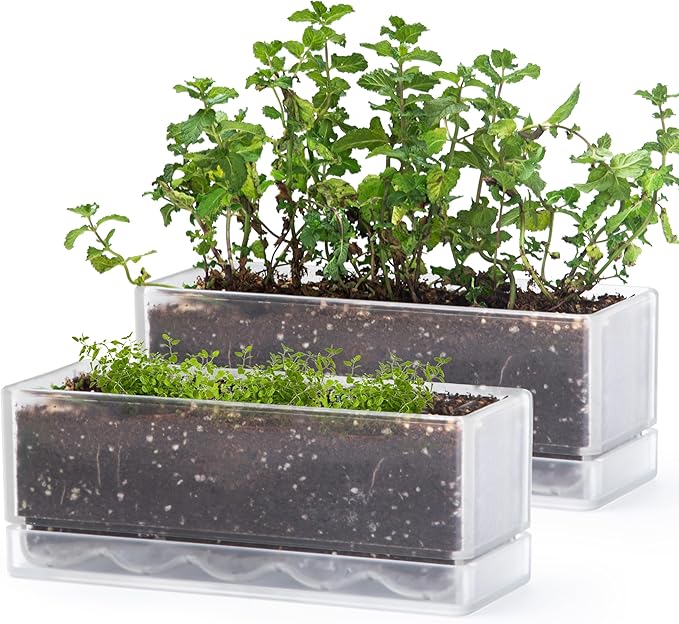 D'vine Dev 12 Inch Window Box Planter, Rectangle Plastic Herb Planter with Drainage Holes and Saucer, Indoor Succulent Cactus Vegetable Pot for Windowsill, Garden Balcony, Clear, Set of 2, 76-X-D-2