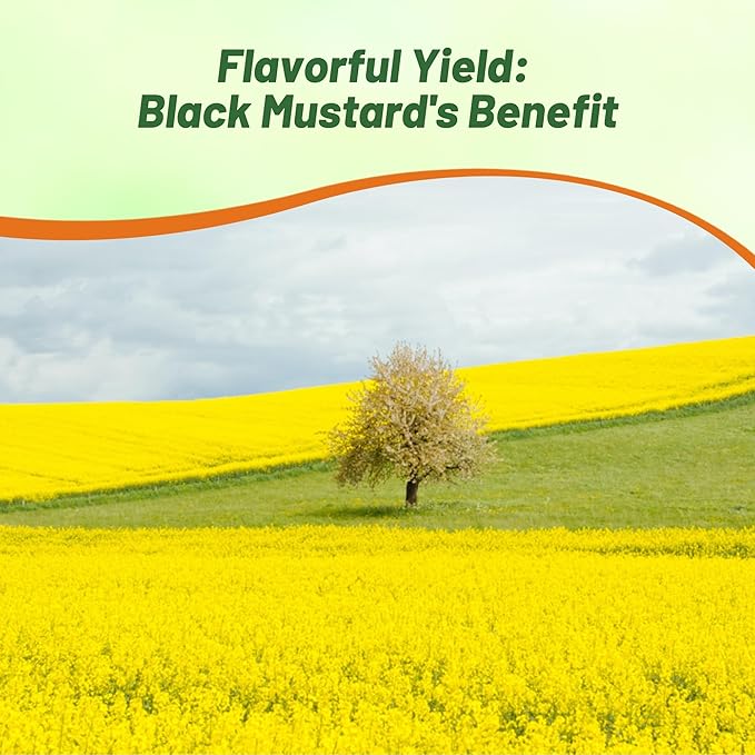 Outsidepride Black Mustard Seeds - 5000 Pcs Nutrient-Rich, Flavorful Annual Microgreen Seeds for Planting, Easy-to-Grow, Ideal for Indoor & Outdoor Cultivation, Soil & Hydroponic Systems