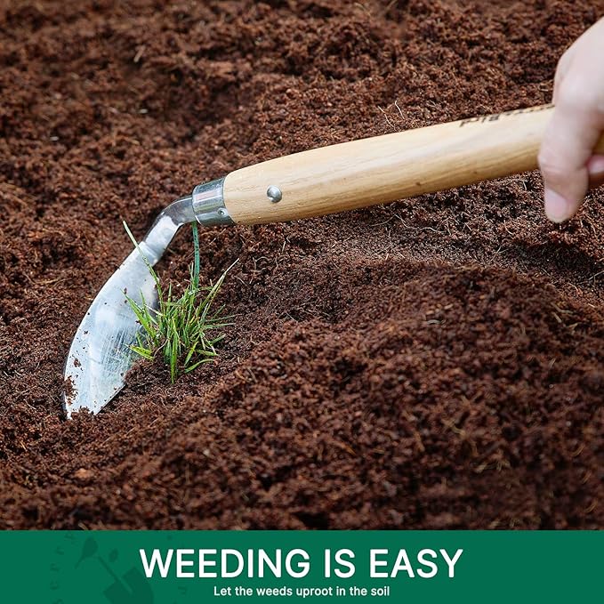 Berry&Bird Japanese Weeder-Scraper-Hoe, 12.67-Inch Gardening Sickle Hoe, Stainless Steel Bent Angle Weeding Sickle, Weeder Hoe with Ergonomic Ash Wood Handle for Weeding, Soil loosening, Digging