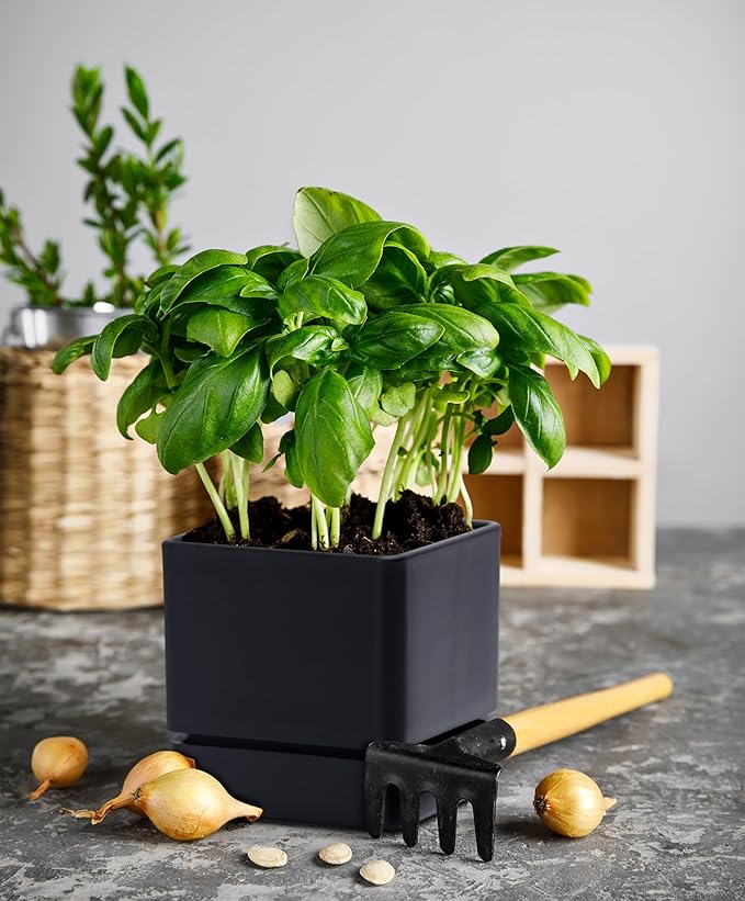 4 Inch Herb Planter Pot, Plastic Planter with Drainage Holes and Saucer, Modern Decorative Gardening Pot for Indoor Plants, Flowers, Herbs, Succulents, Black, Set of 1, 76-Y-B-1