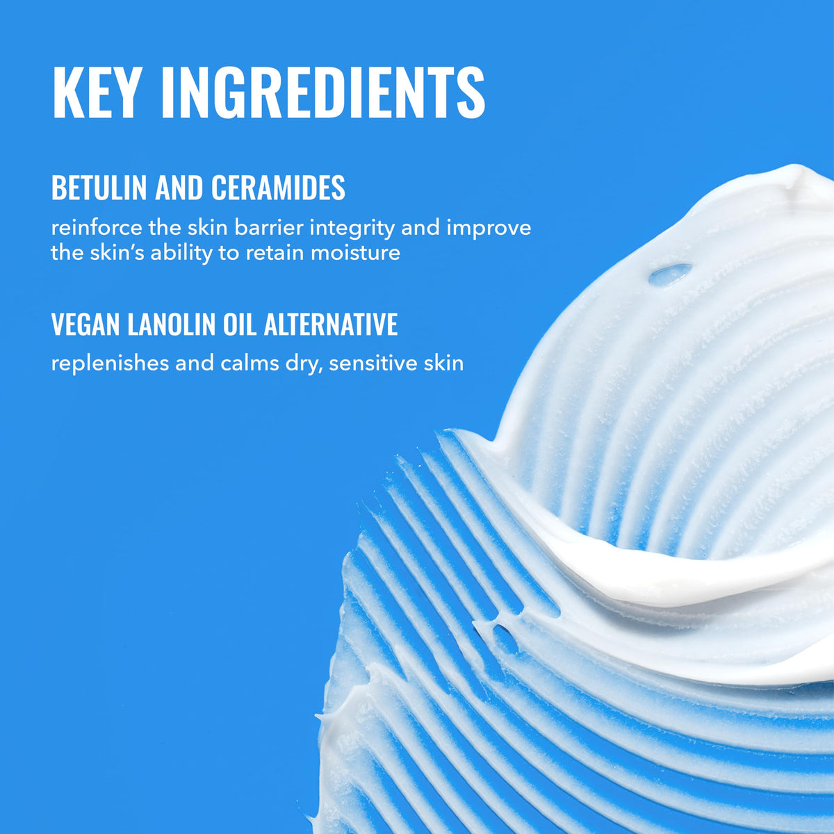 Good Molecules Rich Cream with Ceramides, Face Moisturizer for Dry Skin