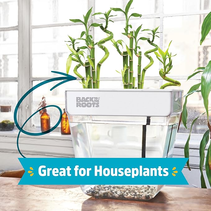 Back to the Roots Indoor Aquaponic Garden - 3 Gallon Self Watering, Mess-Free Planter and Self-Cleaning Fishtank for Herbs, Microgreens, Bamboo, Succulents, and Houseplants, support Fish