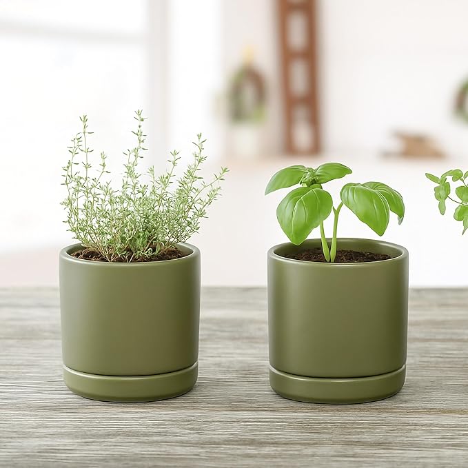 D'vine Dev Set of 2 Plants Pots, 3.5 Inch Ceramic Planter Pot for Plants with Drainage Hole and Saucer, Olive, 94-V-A-J