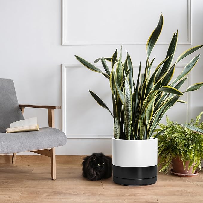 D'vine Dev 12 Inch Ceramic Planter Pot with Drainage Hole and Saucer, Indoor Cylinder Round Planter Pot, Layered Monochrome Black & White, 94-O-F-L
