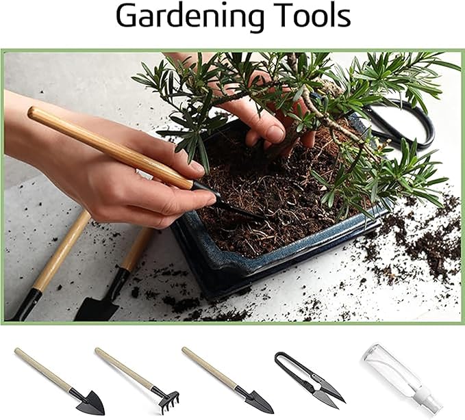 Bonsai Garden Starter Kit, 4 Seeds Growing into Sakura, Ginkgo, Black Pine, Red Flame, Including Complete Gardening Tools & A Wooden Box with Cover, Christmas Gifts for Men Women Beginners
