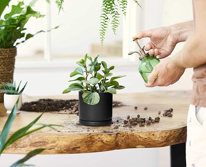 D'vine Dev Set of 4 Small Ceramic Plant Pots, 4.6 Inch Succulent Planter Pot for Plants with Drainage Hole and Saucer, Black, 94-X-B-2