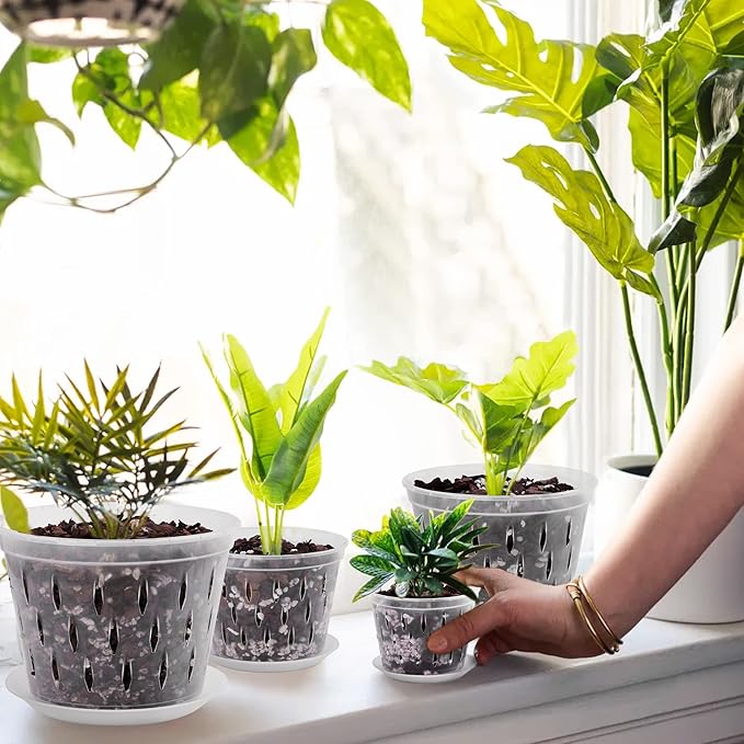 Orchid Plants- 2 Each of 4, 5, 6 and 7 inch- 8 Sets with Saucers, Orchid Pots with Holes and Clear Plastic Orchid Pots for Repotting