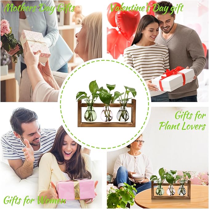 Plant Propagation Station Plant Terrarium Unique Birthday Gifts for Women Plant Lovers Home Office Decor Planter with Wooden Stand - 3 Bulb Glass Vase