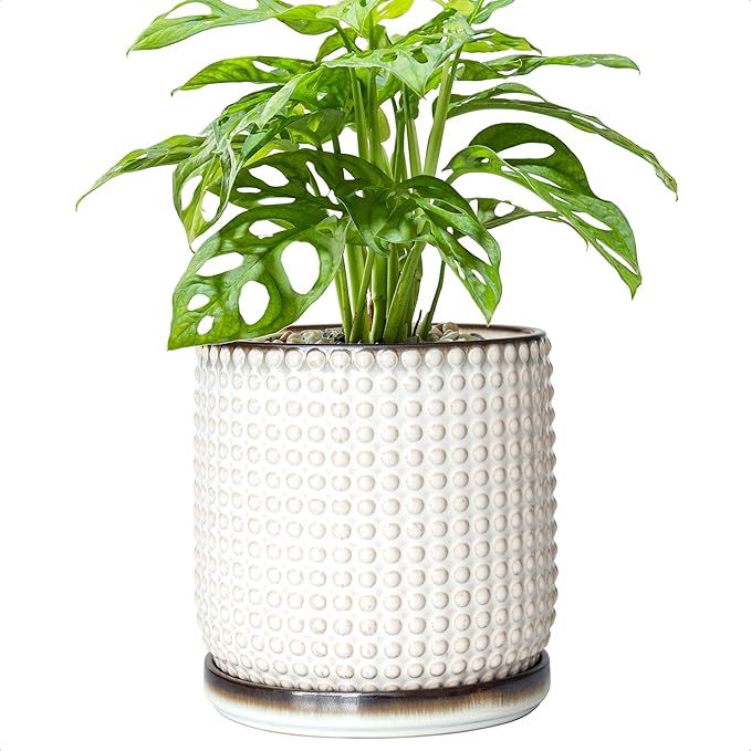 D'vine Dev 6 Inch Ceramic Beaded Stoneware Planter Pot - Flower Pot with Drainage Holes and Saucers for Indoor Succulent Plants or Flowers, Smoked White, 27-C-X-1