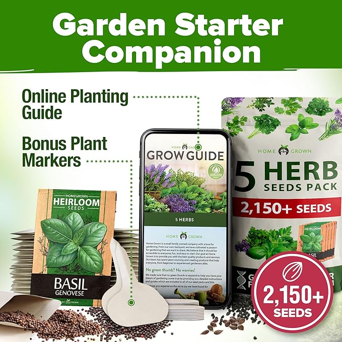 HOME GROWN 5 Herb Seeds for Planting 2,150+ Non-GMO Heirloom Seeds | Extra Large Variety Pack Herb Kit – Indoor Outdoor & Hydroponic | Culinary Seed Set | Grow Your Own Herbs | Gift for Beginners