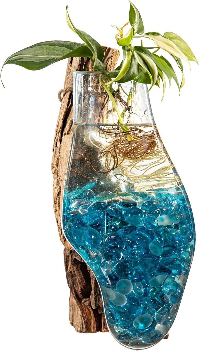 Cape Craftsmen Wall Mounted Molten Glass Hanging Terrarium on Driftwood, Indoor Wall Planter Vase on Wood, Propagation Station for Hydroponics Plants, Succulent Pot