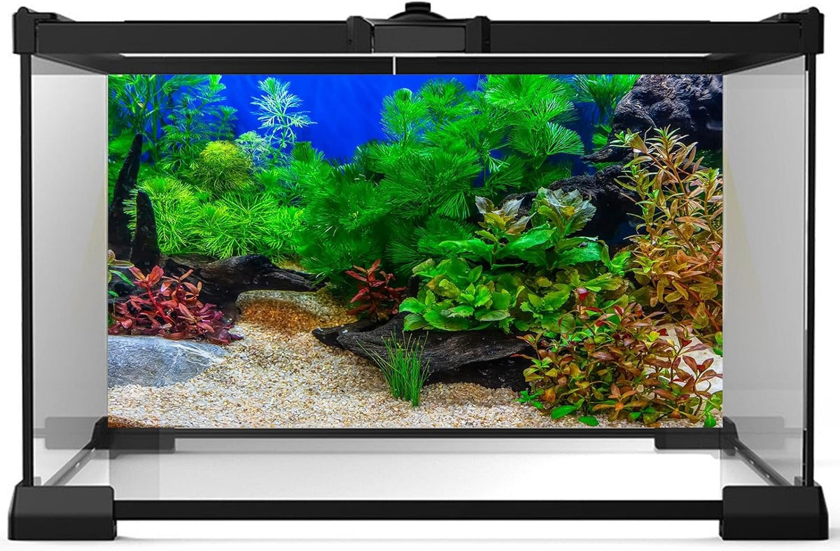 Aquarium Background Underwater Grass Leaves with Pebble Aquarium Backdrop Vivid and Fresh Green Aquatic Plant Stone River Bed and Lake Fish Deadwood Tank Background Decor Vinyl 36x24in