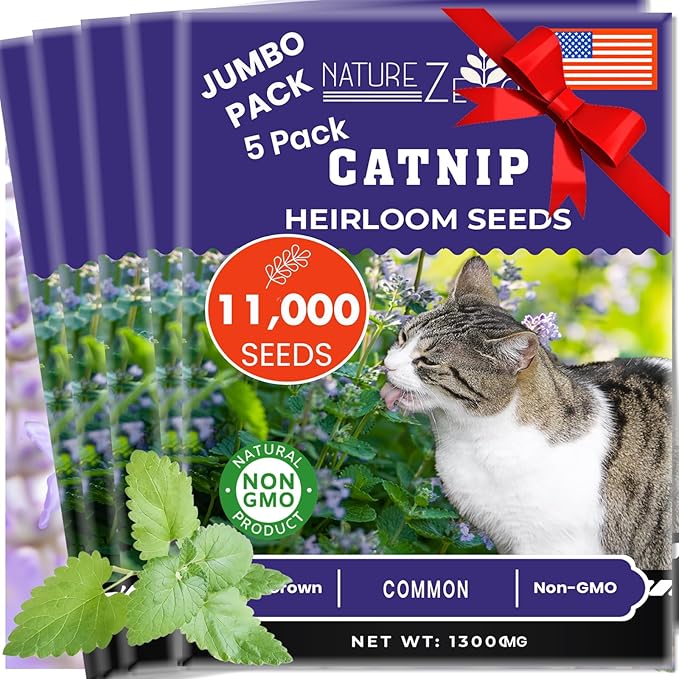 NatureZ Edge Catnip Seeds for Planting, 6.5 Grams, 11,000+ Herb Seeds, Indoor or Outdoor Growing, Your Cat Will Love Them, Non-GMO