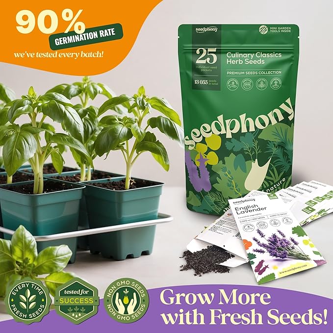 25 Culinary Classic Herb Seeds Variety Pack - 13,055+ Non-GMO Heirloom Herbs Seeds for Planting Indoor & Outdoor: Lavender, Rosemary, Dill, Mint, Catnip, Basil - Gardening Seeds Packets