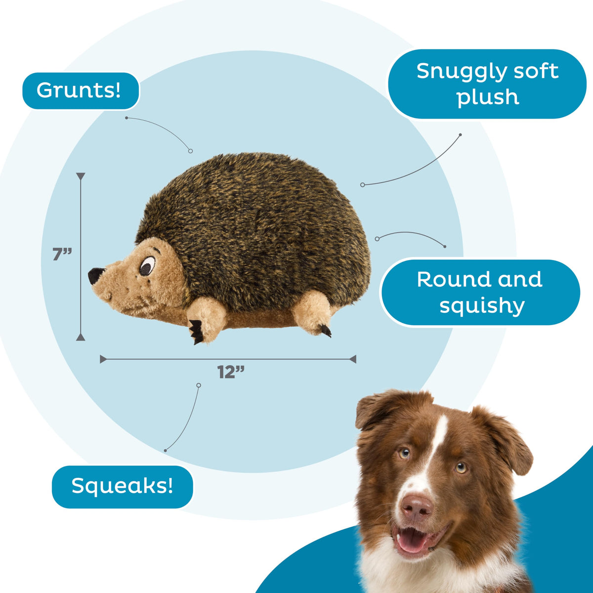 Outward Hound Hedgehogz Plush Dog Toy, Squeaks & Grunts, Large, 12" x 7"