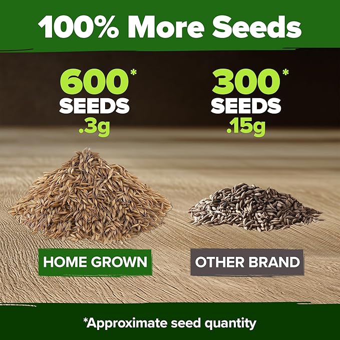 HOME GROWN 𝗨𝗦𝗔 𝗣𝗥𝗘𝗠𝗜𝗨𝗠 Dandelion Seeds for Planting – 600 Heirloom Medicinal Herb Seeds (~0.3g) 𝗡𝗢𝗡-𝗚𝗠𝗢 Grow Edible Leaves and Flowers for Remedies or Wildlife (Taraxacum officinale)