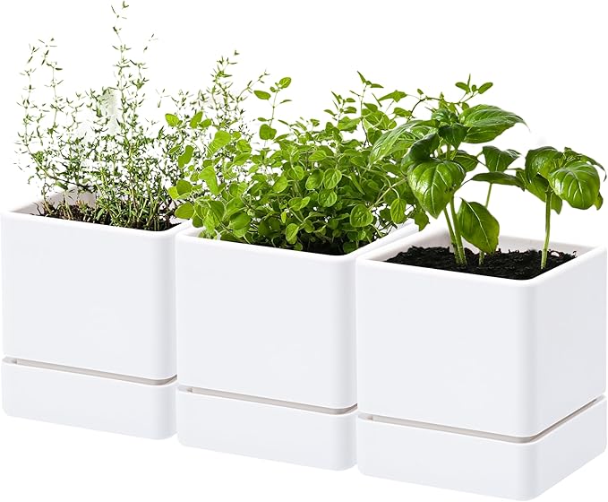 4 Inch Herb Planter Pot, Plastic Planter with Drainage Holes and Saucer, Modern Decorative Gardening Pot for Indoor Plants, Flowers, Herbs, Succulents, White, Set of 3, 76-Y-A-3