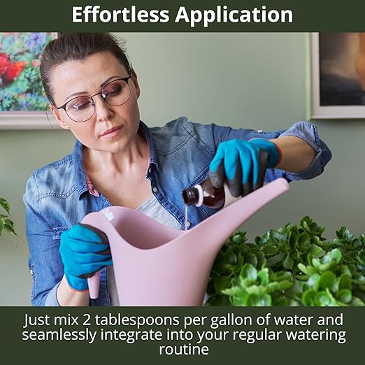 3-1-2 African Violet Fertilizer for Indoor Plants: Liquid Fertilizer with Essential Micronutrients Drops - Plant Food for African Violets (16 OZ)