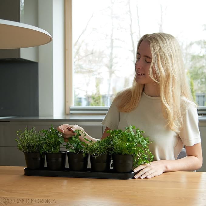 SCANDINORDICA Black Herb Planter – 5 Pots with Drainage Holes and Tray, Windowsill Planter, Herb Pots for Indoor Outdoor Plants | Kitchen & Garden Decor