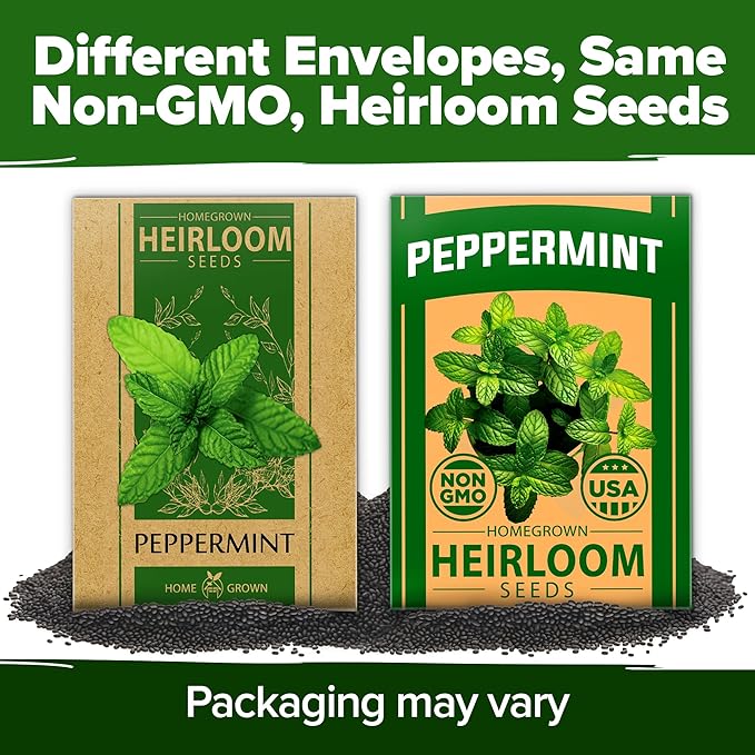 HOME GROWN Peppermint Seeds 2 Pack (Mentha × piperita) – 4,740 Heirloom Mint Seeds for Planting – 𝗡𝗢𝗡-𝗚𝗠𝗢, 𝗨𝗦𝗔-𝗦𝗢𝗨𝗥𝗖𝗘𝗗 – Grow Indoors or Outdoors, Kitchen Herb Garden Favorite