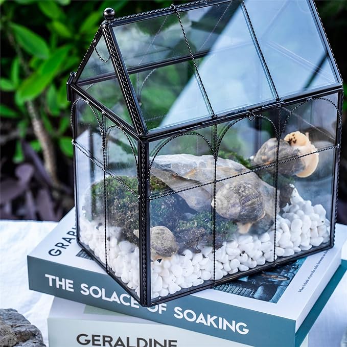 NCYP Black Glass Terrarium with Lid, Indoor Geometric Planter for Cacti, Air Plants, Succulents, Insect, Snail, House Shape Closed Box 7.5" x 4.9" x 9" (No Plant Included)