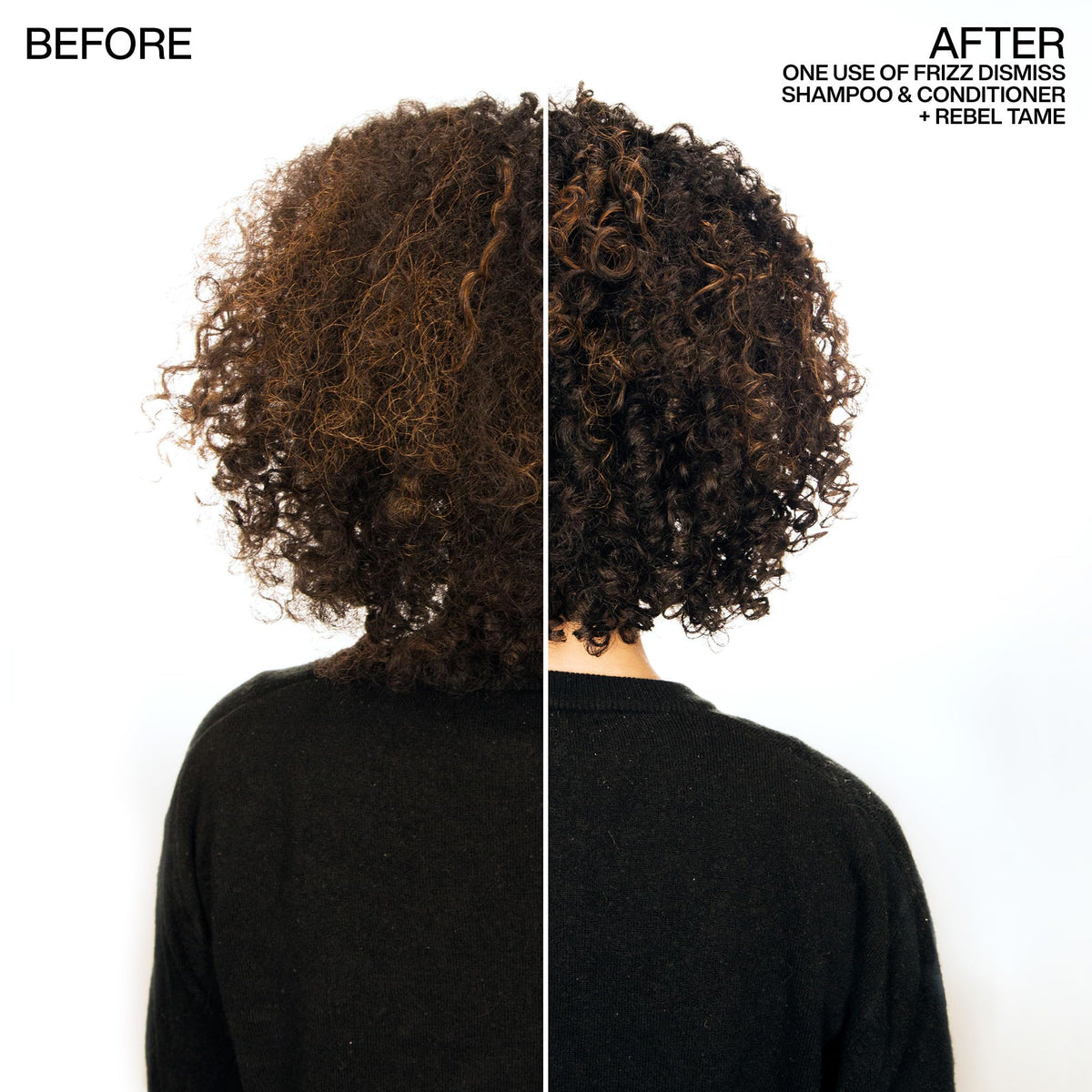 Redken Frizz Dismiss Shampoo – For Frizzy Hair, 10.1 Fl Oz