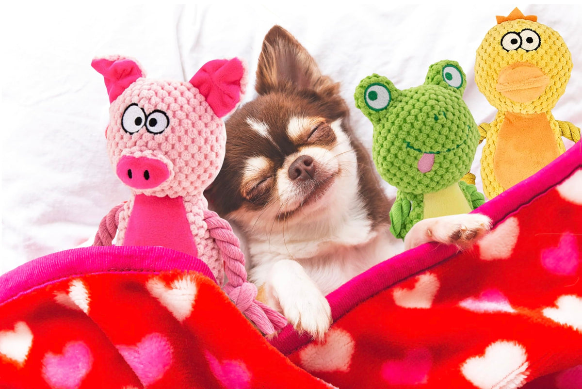 Leash and Leisure Plush Dog Toys, 3-Pack Variety Set with Squeaker, Crinkle Paper, Rope, Non-Toxic, Soft & Durable, Teething Puppy Toys- Farm Friends or Jungle Pals, 9.45 x 3.94 inches (Farm Friends)
