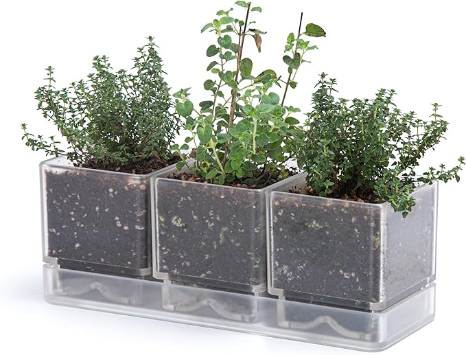 D'vine Dev Herb Garden Planter Set, Plastic Plant Pots with Drainage and Saucer, Indoor Succulent Cactus Vegetable Pot for Windowsill, Garden Balcony, Clear, Set of 1, 76-V-D-1