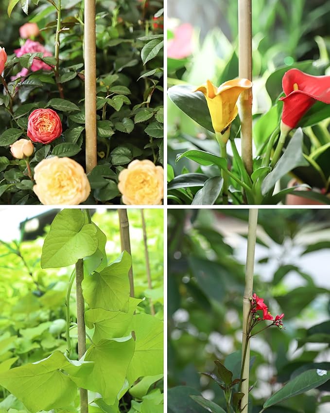 3ft Natural Bamboo Plant Stakes for Tomatoes, Beans, Flowers, Potted, Climbing Plants 25pcs