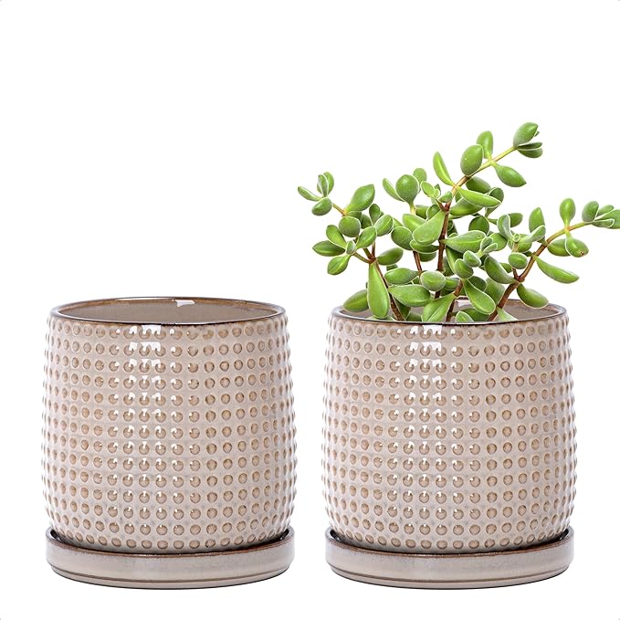 D'vine Dev Set of 2 Ceramic Plants Pots, 4 Inch Beaded Stoneware Flower Pot for Plants with Drainage Hole and Saucer, Light Brown, 27-E-Z-4