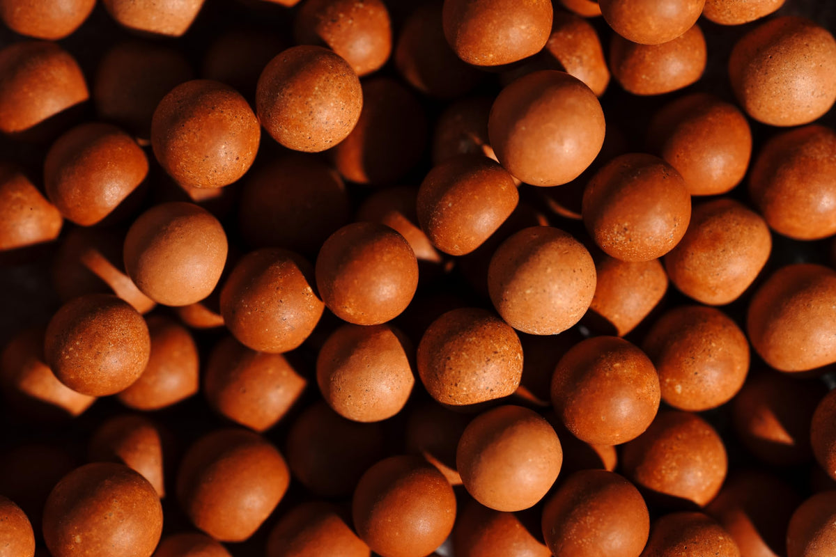 Delicious Pumpkin Spice Malt Balls By RawJoy, 3 Pound
