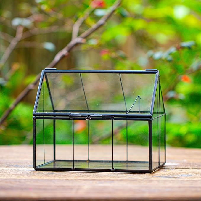 NCYP Mini Glass Terrarium with Lid - 6.1" x 4.25" x 4.92" House Shape Closed Planter Pot for Small Cactus, Succulents Plant - Home Garden Office Tabletop Geometric Decor, Black (Terrarium Only)