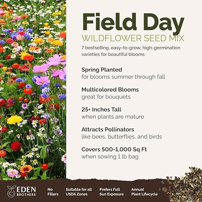 Eden Brothers Field Day Flower Mixed Seeds for Planting, 1 lb, 480,000+ Seeds with Zinnia Lilliput, Calendula Mix | Attracts Pollinators, Plant in Spring or Fall, Zones 3, 4, 5, 6, 7, 8, 9, 10