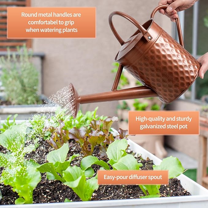 1 Gallon Metal Watering Can for Outdoor Indoor Plants, Copper Colored Watering Can with Removable Spray Spout, Ideal for Garden Watering