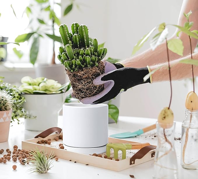 D'vine Dev 6 Inch Ceramic Planter Pot with Drainage Hole and Saucer, Indoor Cylinder Round Flower Pot, White, 94-O-C-1
