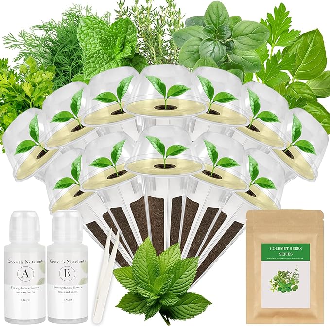 Gourmet Herbs Seed Pod Kit for AeroGarden, iDoo, Ahopegarden, MUFGA Hydroponics Garden with Basil, Parsley, Thyme, Mint, Cilantro, Dill, Oregano - Compatible with All Hydroponics (12-Pod)