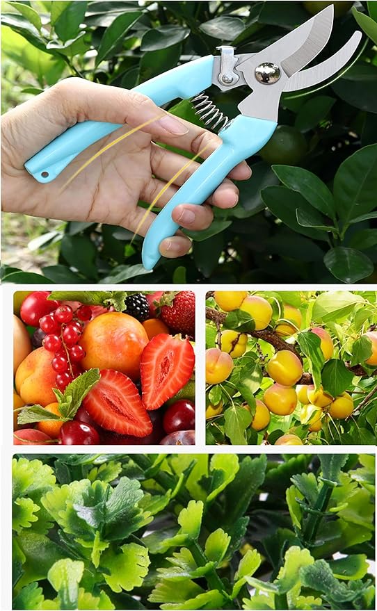 5pcs Garden Flower Shears Pruning Shears 6.9 inches Scissors Heavy Duty Plant Scissors for Cutting Flowers, Trimming Plants, Bonsai, Fruits Picking (Blue Handle 5pcs)