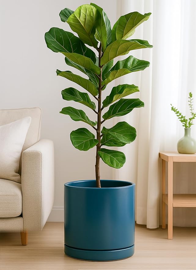 D'vine Dev 12 Inch Ceramic Planter Pot with Drainage Hole and Saucer, Indoor Cylinder Round Planter Pot, Teal, 94-O-F-9