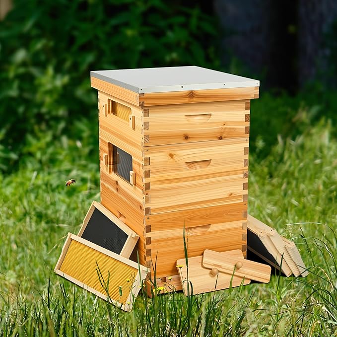 CREWORKS 10 Frame Bee Hive, 3 Layers Beeswax Coated Beehive Starter Kit with Frames & Foundations, Langstroth Bees Hives Box with Transparent Acrylic (Window Medium Box & 2 Deep Boxes)
