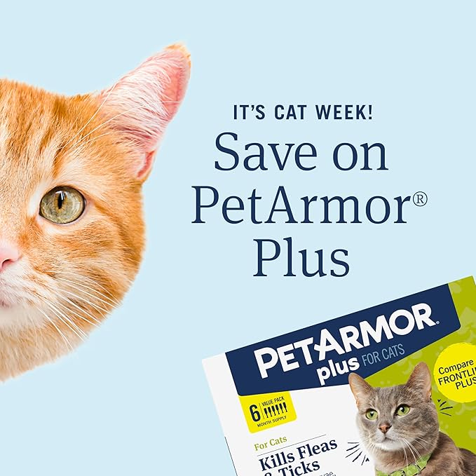 PetArmor Plus Flea and Tick Prevention for Cats, Cat Flea and Tick Treatment, 12 Doses, Waterproof Topical, Fast Acting, Cats Over 1.5 lbs