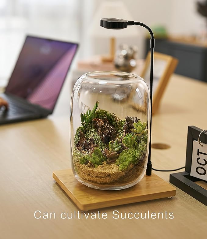 Terrarium Kit/Supplies Terrarium Plants Set with Grow Light, for Succulents Miniature Gardening, Include Terrarium jar Tool Set Live Moss Rocks Soil Driftwood and Decor, for Plant Lovers