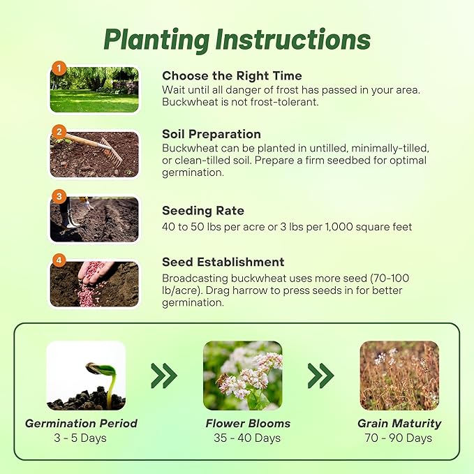 Outsidepride Buckwheat Seeds - 1lb Annual, Fast-Growing, Easy to Grow Buckwheat Cover Crop Seeds for Green Manure, Bee Pasture & Pollinators, Wildlife Habitat, Soil Improvement, and Erosion Control