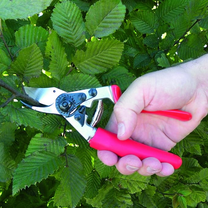 Felco F-12 Pruning Shears – 7.9" Garden Clippers with Anvil & Bypass Blades | Hand Pruners for Gardening | Garden Tool Cutter with Forged Aluminum Handle, Alloy Steel Blade, Medium Hand Fit