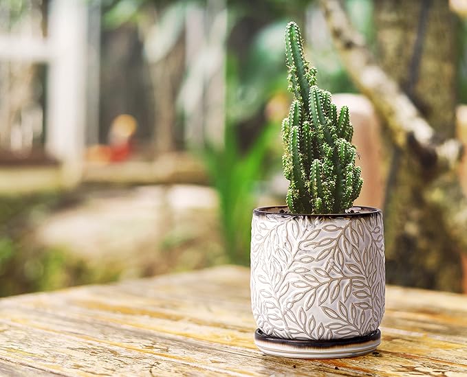 D'vine Dev 4 Inch Embossed Leaves Stoneware Planter Pot with Drainage Hole and Saucer, Smoked White, Set of 1, 27-A-Z-1