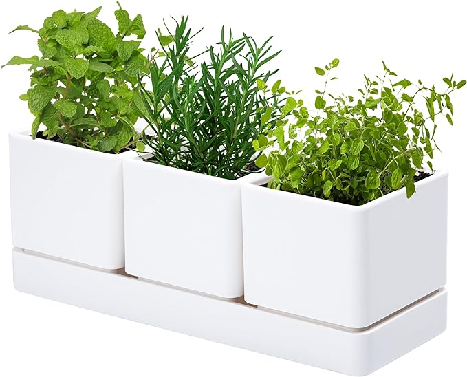 D'vine Dev Herb Garden Planter Set, Plastic Plant Pots with Drainage and Saucer, Indoor Succulent Cactus Vegetable Pot for Windowsill, Garden Balcony, White, Set of 1, 76-V-A-1