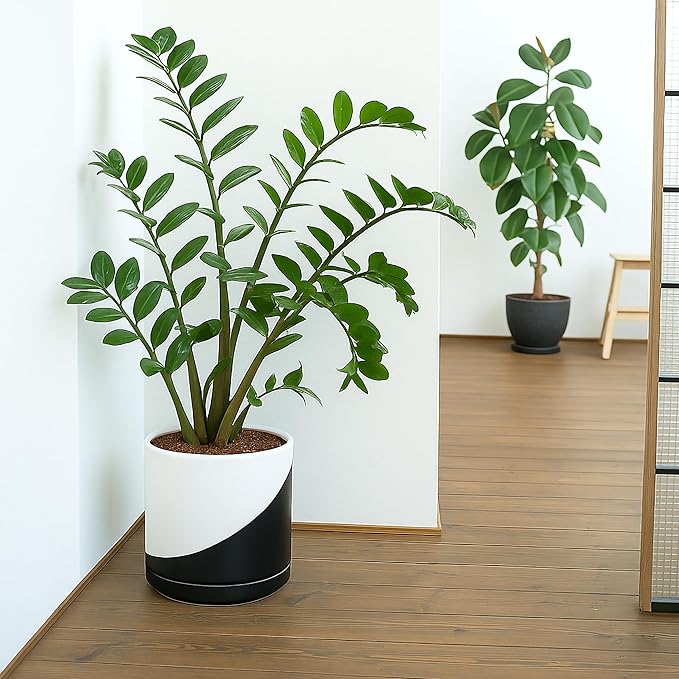 D'vine Dev 10 Inch Ceramic Planter Pot with Drainage Hole and Saucer, Indoor Cylinder Round Planter Pot, Oblique Monochrome Black and White, 94-O-E-K